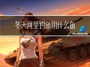 冬天河里钓鱼用什么鱼饵
