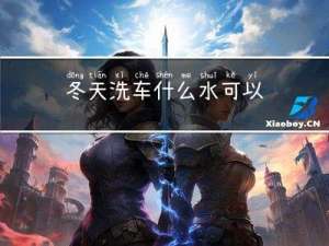 冬天洗车什么水可以