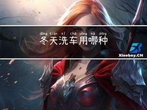 冬天洗车用哪种