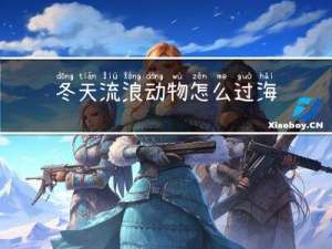 冬天流浪动物怎么过海
