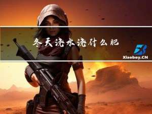 冬天浇水浇什么肥