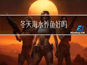 冬天海水养鱼好吗