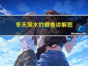 冬天深水钓鲫鱼讲解图