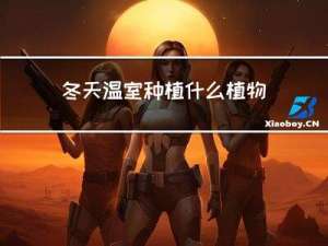 冬天温室种植什么植物