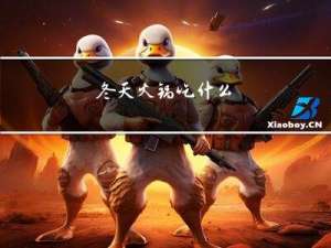 冬天火锅吃什么