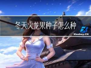 冬天火龙果种子怎么种