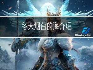 冬天烟台的海介绍