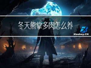 冬天熊掌多肉怎么养