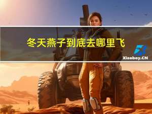 冬天燕子到底去哪里飞