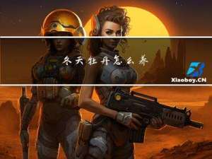 冬天牡丹怎么养