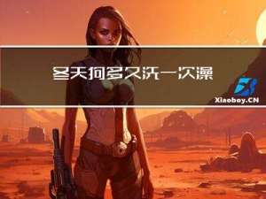 冬天狗多久洗一次澡