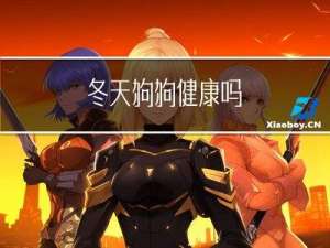冬天狗狗健康吗
