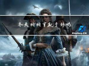 冬天狗狗穿靴子好吗