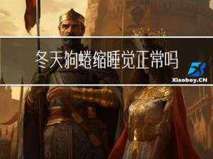 冬天狗蜷缩睡觉正常吗