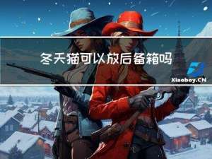冬天猫可以放后备箱吗