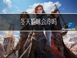 冬天猫咪会冷吗