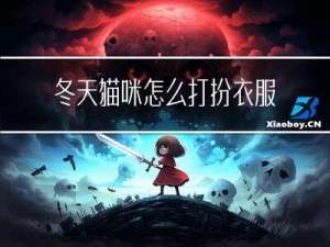 冬天猫咪怎么打扮衣服