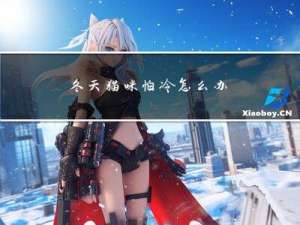 冬天猫咪怕冷怎么办