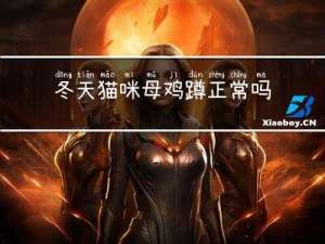 冬天猫咪母鸡蹲正常吗