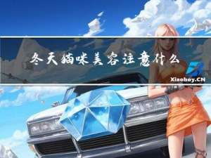 冬天猫咪美容注意什么衣服