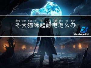 冬天猫咪起静电怎么办