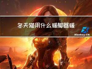 冬天猫用什么暖脚器暖和