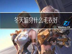 冬天猫穿什么毛衣好