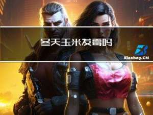 冬天玉米发霉吗