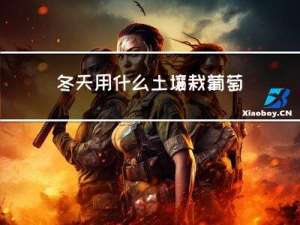 冬天用什么土壤栽葡萄