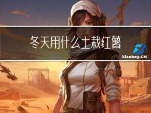 冬天用什么土栽红薯