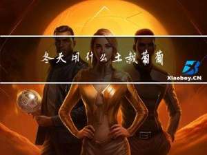 冬天用什么土栽葡萄