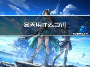 冬天用什么当饵