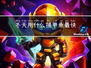 冬天用什么捕甲鱼最快
