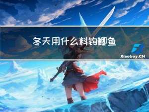 冬天用什么料钩鲫鱼