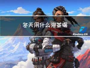 冬天用什么泡茶喝
