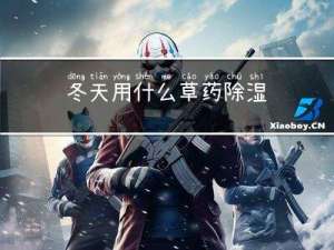 冬天用什么草药除湿