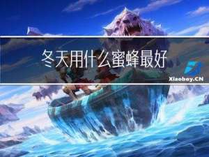 冬天用什么蜜蜂最好