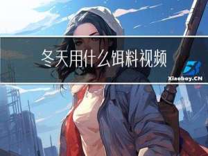 冬天用什么饵料视频