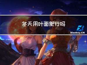 冬天用叶面肥行吗