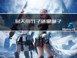 冬天用竹子还是藤子