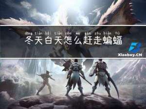 冬天白天怎么赶走蝙蝠的