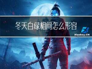 冬天白绿相间怎么形容