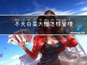 冬天白菜大棚怎样管理