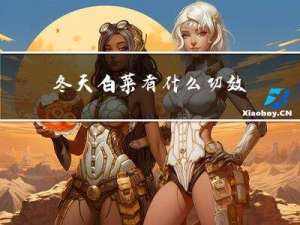 冬天白菜有什么功效