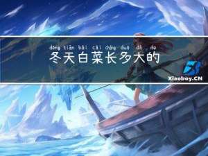 冬天白菜长多大的