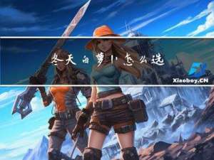 冬天白萝卜怎么选
