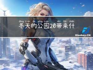 冬天的公园 带来什么