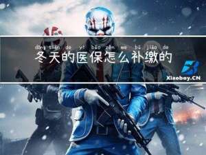 冬天的医保怎么补缴的