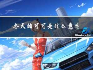 冬天的可可是什么意思