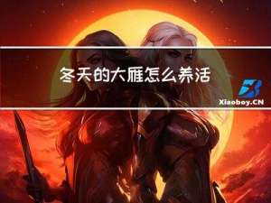 冬天的大雁怎么养活
